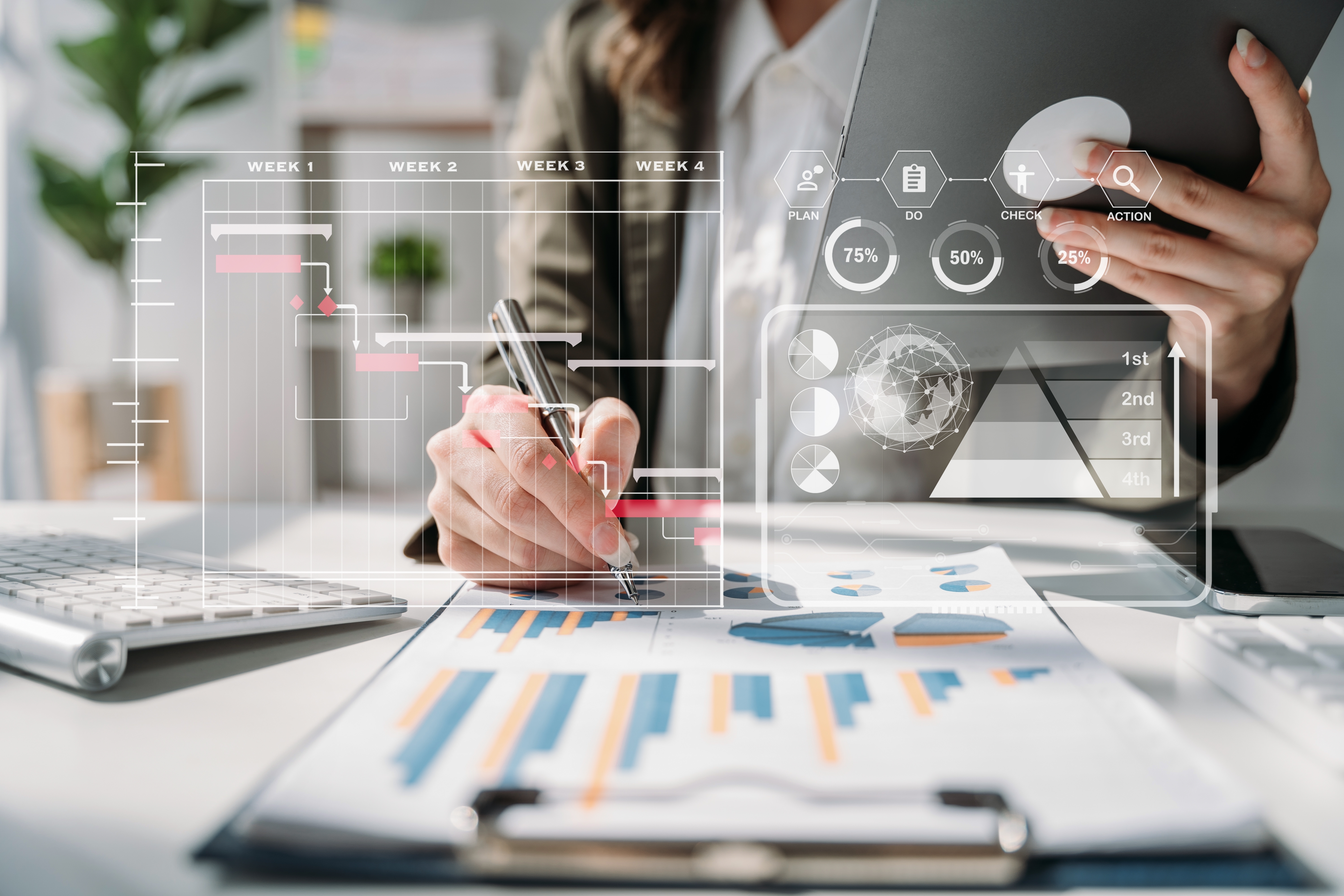 Project Management Services